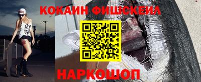 индика Сланцы