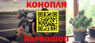 гидропоника Новокубанск