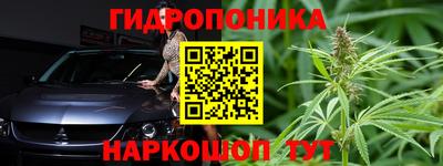твердый Новозыбков