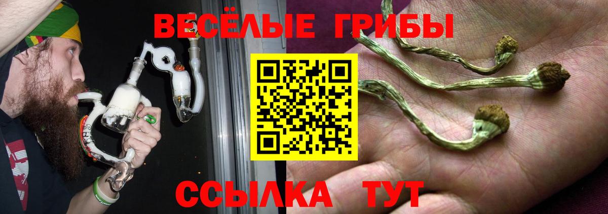 Галлюциногенные грибы мицелий  Галлюциногенные грибы MAGIC MUSHROOMS  Омск  Вход с VPN 