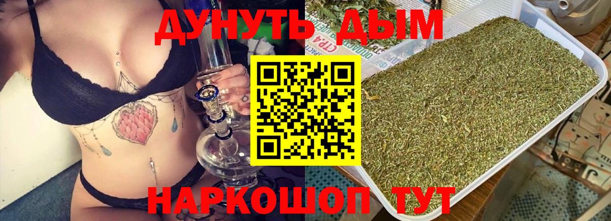 Шишки марихуана тримм  Вход с VPN  Бошки Шишки тримм  Каннабис планчик  Марихуана Amnesia  Омск 